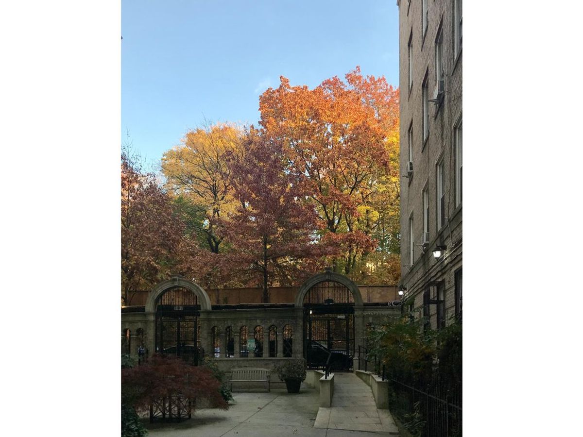 Photo for  811 Walton Avenue  - 811 WALTON AVENUE Cooperative in Concourse, Bronx