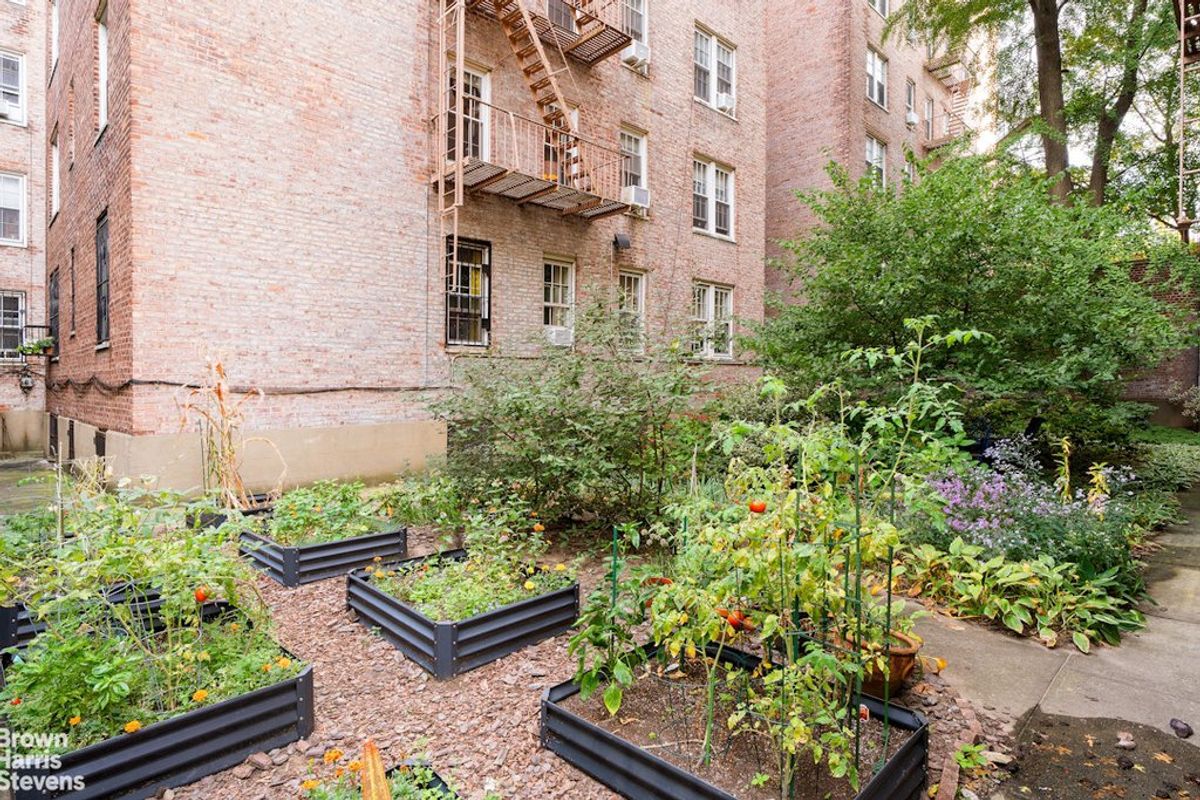 Photo for  360 Clinton Avenue  - 360 CLINTON AVENUE Cooperative in Clinton Hill, Brooklyn