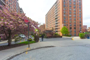 Photo for 67th Avenue