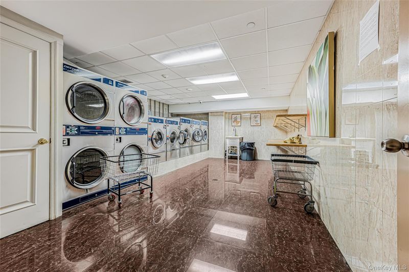 Image #15