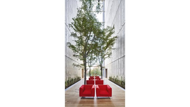 Image #16